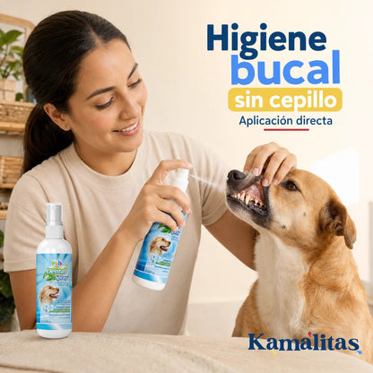 Tutora aplicando Spray Dental Ultra directamente sobre los dientes de un perro para apoyar su higiene bucal.