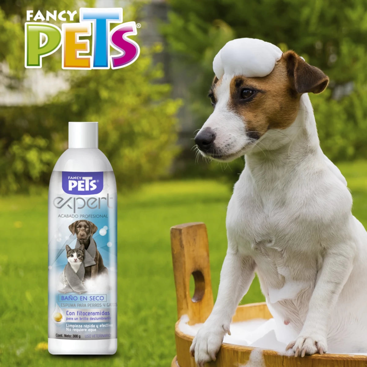 Perro con espuma limpiadora Expert sobre la cabeza, demostrando la aplicación a contrapelo para una limpieza rápida y sin enjuague.