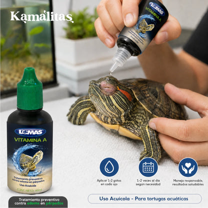 Aplicación guiada de vitamina A acuícola para desinflamar los ojos cerrados de una tortuga de agua, en Kamalitas.