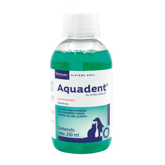 Aqua dent