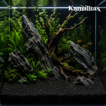 Diseño profesional de aquascaping con rocas oscuras, troncos y fondo de grava negro obsidiana, en Kamalitas.