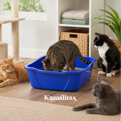 Arenero Van Ness para gato en uso dentro de una casa con múltiples gatos, ideal para ofrecer un espacio higiénico, cómodo y práctico para la rutina diaria de limpieza felina.