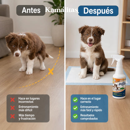Antes y después del uso del atrayente para cachorros Fancy Pets, mostrando el entrenamiento para que el perro haga sus necesidades en el lugar correcto.