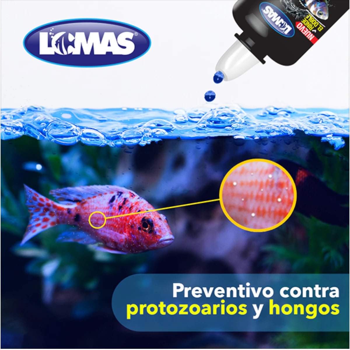 Ilustración de un pez Betta azul nadando en un acuario, destacando el uso de Azul de Metileno como coadyuvante contra enfermedades micóticas y bacterianas.