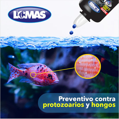 Ilustración de un pez Betta azul nadando en un acuario, destacando el uso de Azul de Metileno como coadyuvante contra enfermedades micóticas y bacterianas.