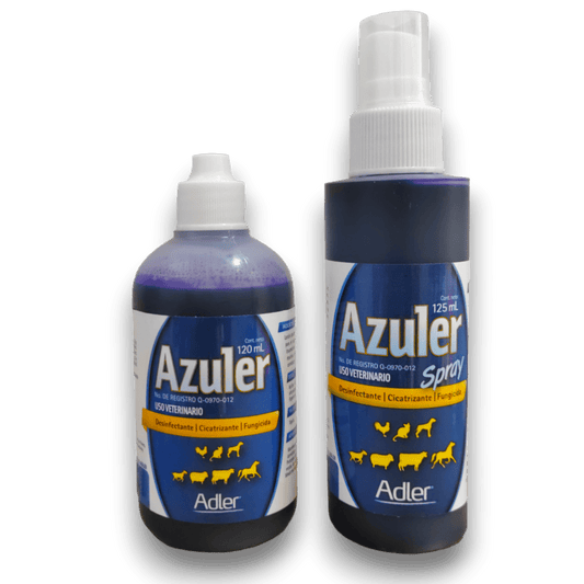 Azuler