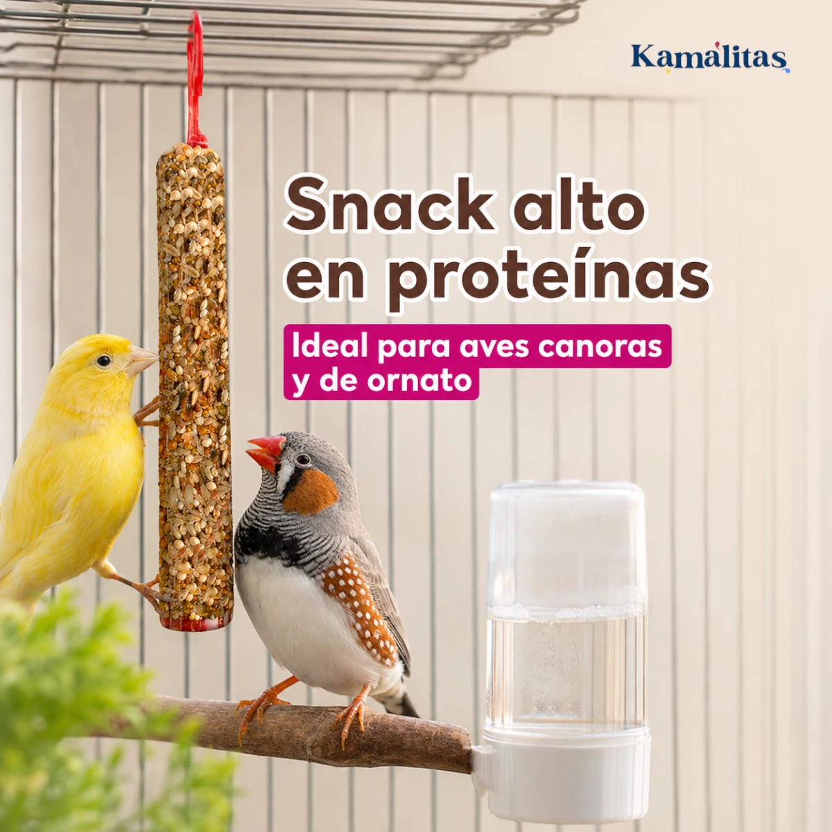 Barrita RedKite con larva deshidratada colgada dentro de la jaula mientras un canario y un diamante mandarín la disfrutan como snack alto en proteínas.
