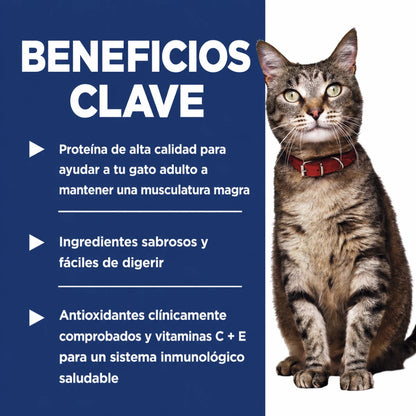 Infografía  de la marca Hill's que destaca los beneficios clave: proteína de alta calidad para músculos magros, ingredientes fáciles de digerir y antioxidantes para el sistema inmune.