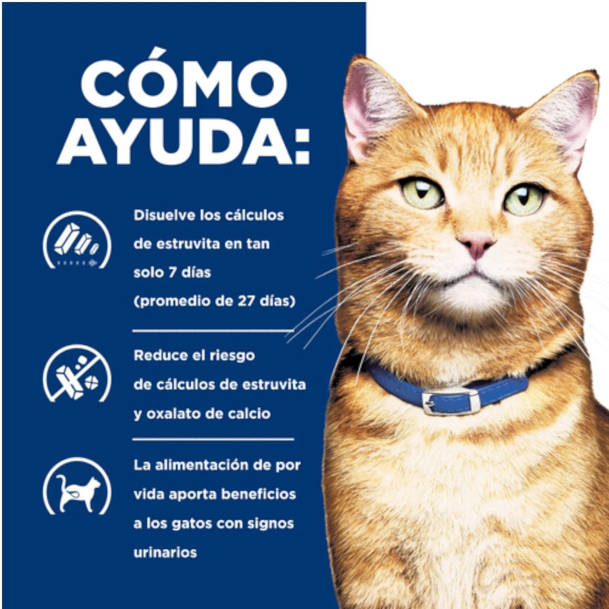 Detalle de los beneficios clínicos de Hill's c/d para la reducción de cálculos de estruvita y oxalato de calcio.