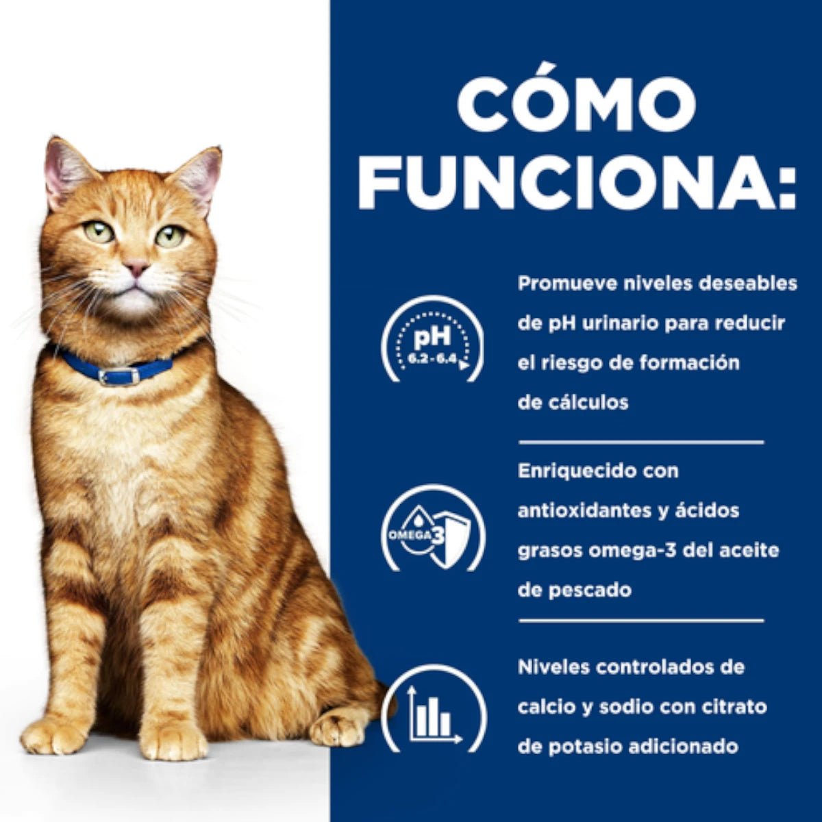 Gráfico de Hill's Prescription Diet c/d Multicare que destaca la disolución de cálculos de estruvita en 7 días y la reducción de recurrencia en un 89%.