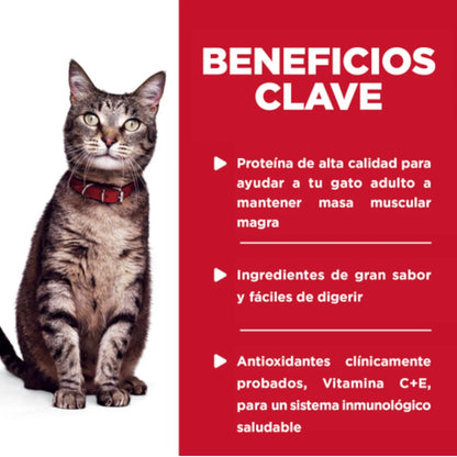 Infografía de la marca Hill's que muestra los beneficios clave para gato adulto: masa muscular magra, ingredientes fáciles de digerir y antioxidantes para un sistema inmune sano.