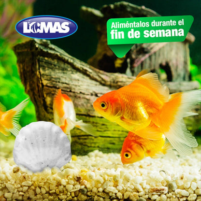 Acercamiento al bloque blanco de sulfato de calcio y alimento para peces tropicales de Lomas, mostrando su textura para disolución lenta, en Kamalitas.