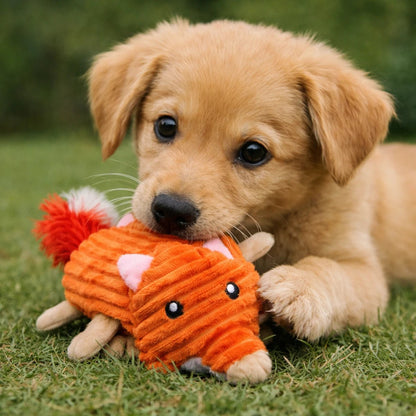 Cachorro de raza pequeña mordiendo feliz el peluche de zorro naranja sobre el pasto, mostrando su tamaño y atractivo.