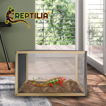 Un camaleón colorido descansando de forma segura en el interior del reptilario colocado de manera horizontal junto a un ventanal, permitiendo la penetración de rayos UV naturales sin riesgo de escapes, en Kamalitas.
