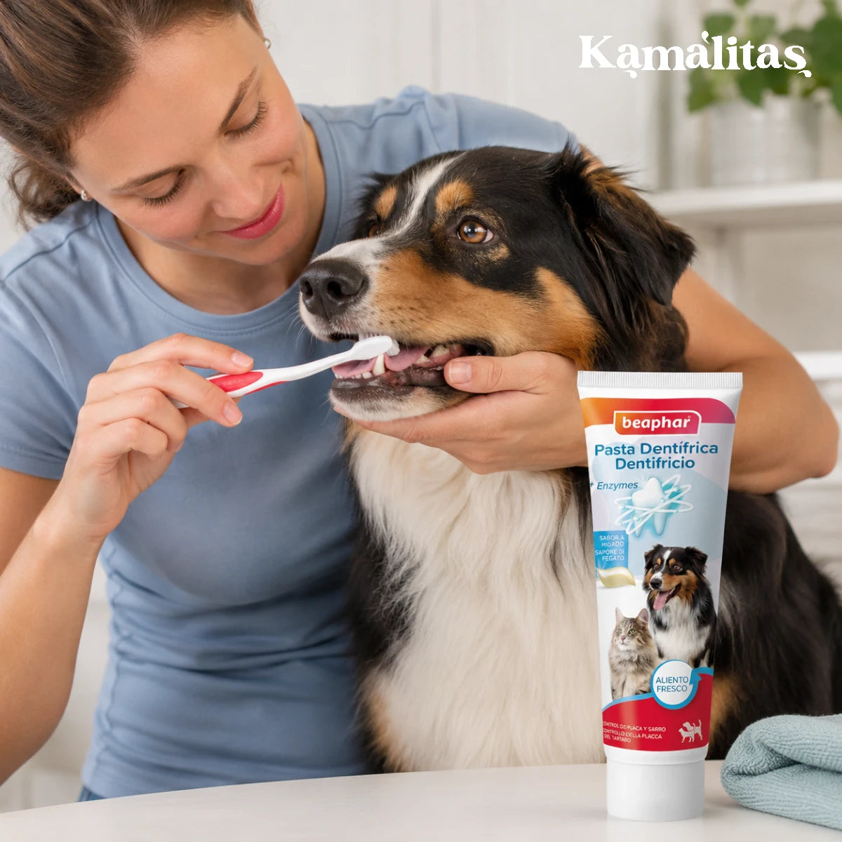 Tutora cepillando los dientes de un perro de raza Pastor Australiano usando la pasta dental enzimática Beaphar sabor hígado.