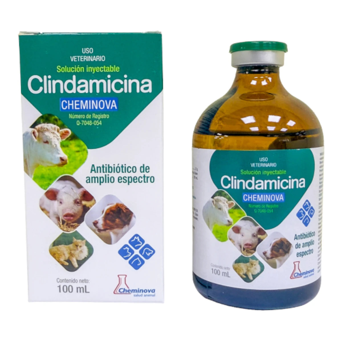 Caja y frasco ámpula de Clindamicina de Laboratorio Cheminova de 100 mL, solución antibiótica inyectable de amplio espectro para uso veterinario multiespecie.