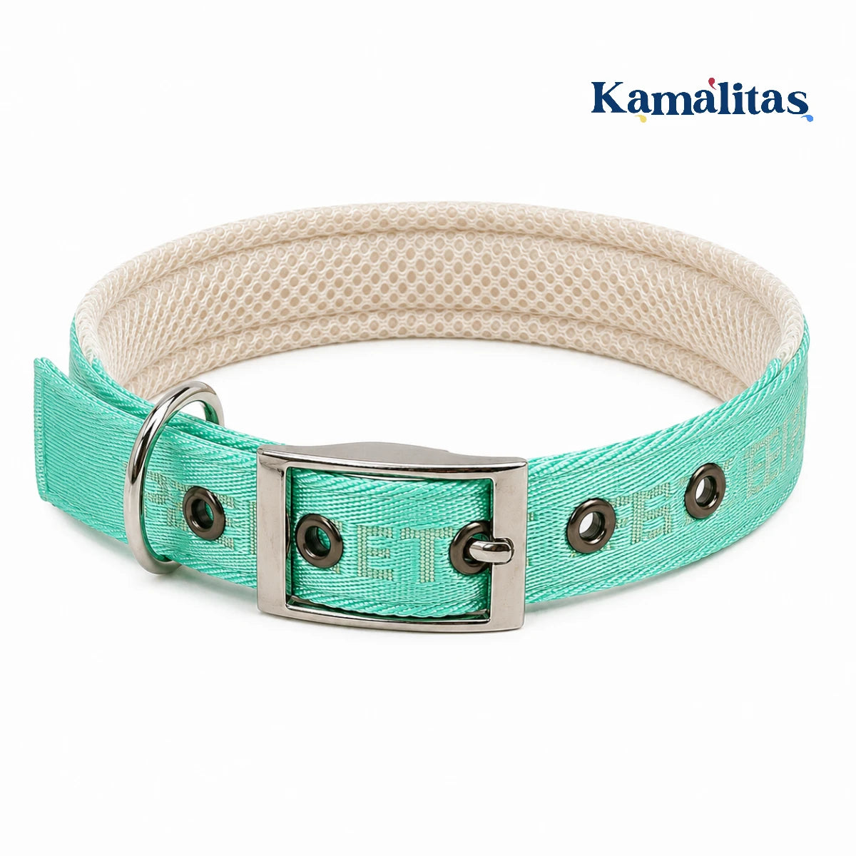 Collar acolchado para perro y gato color verde menta, ajustable, con hebilla metálica, argolla en D y diseño cómodo para uso diario.