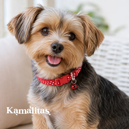 Perro usando Collar para color rojo on diseño de puntos blancos, argolla de metal y cierre de presión de liberación rápida a tono, en Kamalitas.