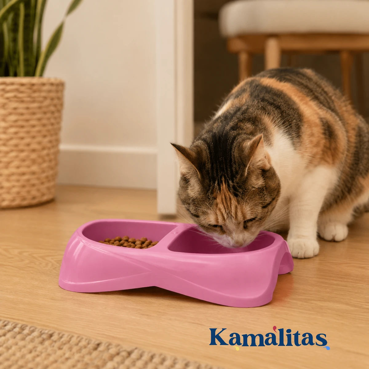 Gato usando comedero doble color rosa, ideal para ofrecer alimento y agua en casa con un diseño práctico para mascotas pequeñas.