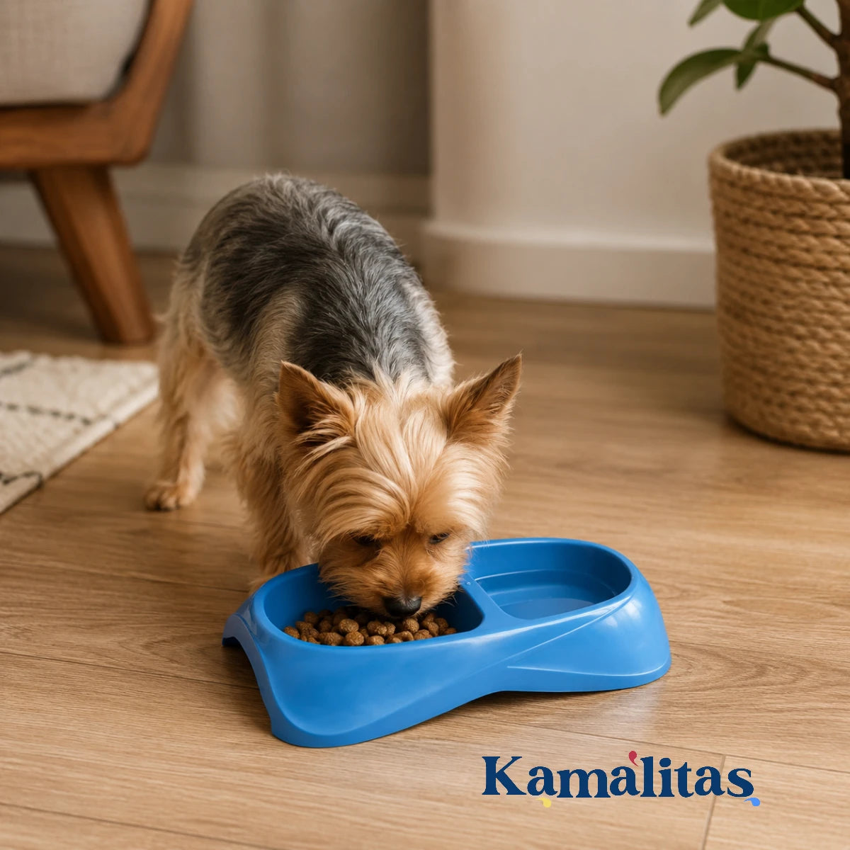 Perro pequeño usando comedero doble color azul, ideal para servir alimento y agua en un solo accesorio práctico para mascotas de talla chica.