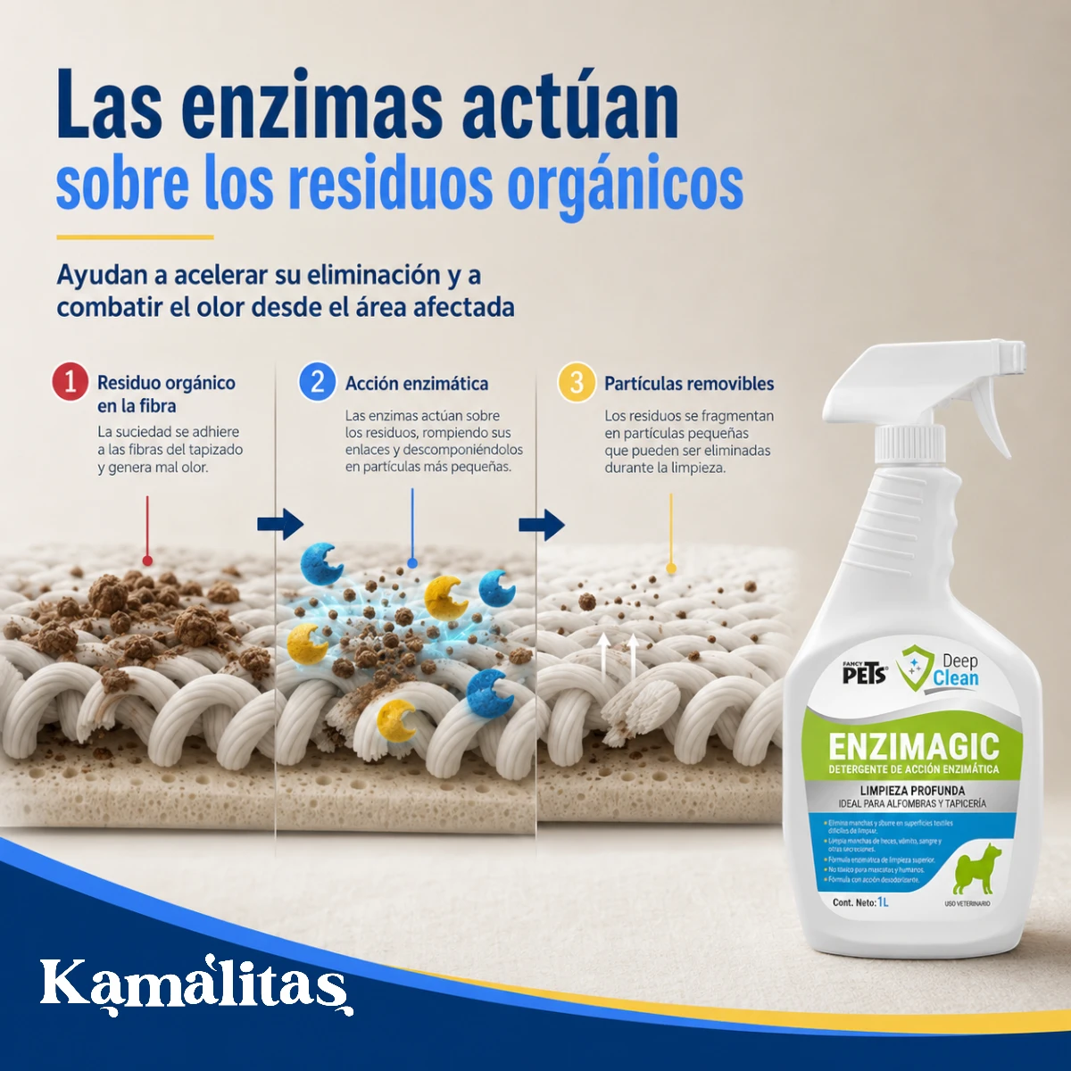 Infografía conceptual de cómo las enzimas de Enzimagic actúan sobre residuos orgánicos presentes en fibras textiles.