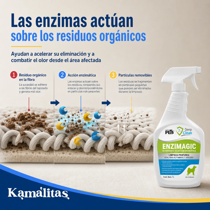 Infografía conceptual de cómo las enzimas de Enzimagic actúan sobre residuos orgánicos presentes en fibras textiles.