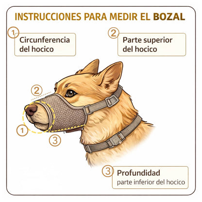 Infografía detallada con instrucciones para medir el hocico de tu perro y elegir la talla correcta del bozal de tela Fancy Pets.