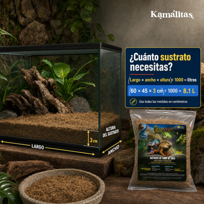 Pasos para colocar, humedecer y controlar con un higrómetro el sustrato de coco dentro de un terrario.