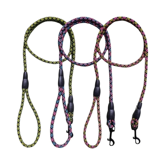 Correa colores vibrantes