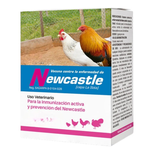 Caja de Vacuna Newcastle Cepa La Sota para la inmunización de gallinas, pollos de engorda y aves domésticas contra enfermedades respiratorias.