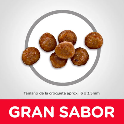 Acercamiento a las croquetas pequeñas y fáciles de digerir de Hill's para gatitos en crecimiento.
