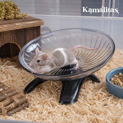 Ratón pequeño utilizando el disco ejercitador Dayang en su hogar, accesorio ideal para estimular el ejercicio, el movimiento y el bienestar de roedores pequeños.