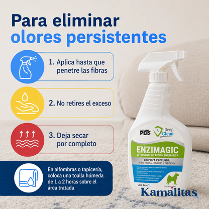Pasos para aplicar Enzimagic sobre alfombras o tapicería con olores persistentes y dejar secar completamente.