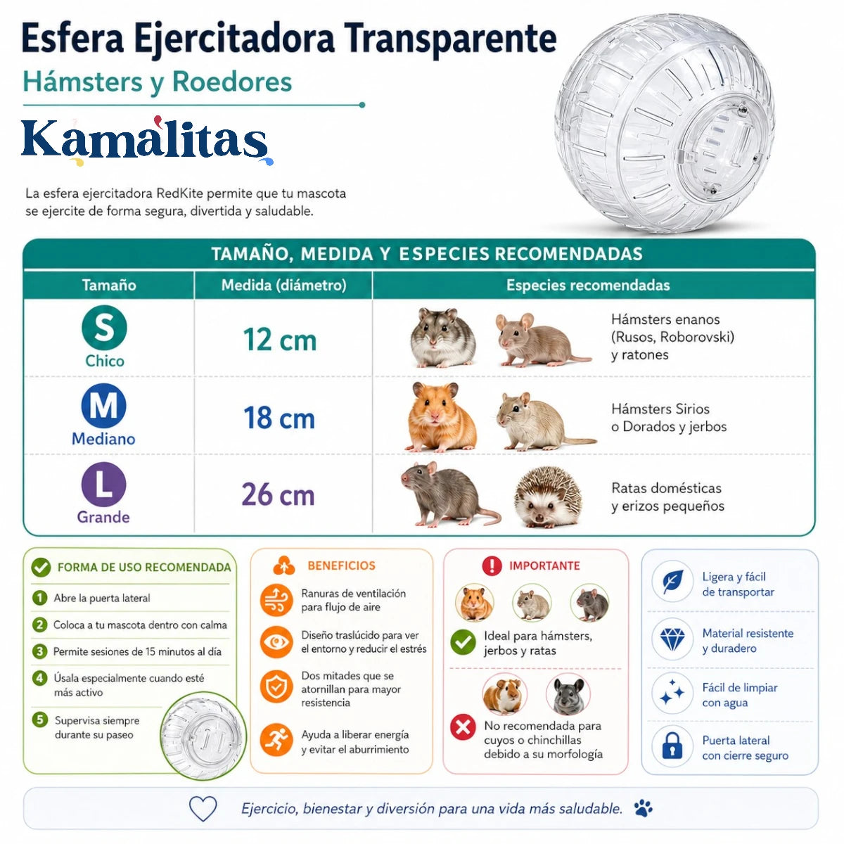 Infografía de Esfera Ejercitadora Transparente RedKite para hámsters y roedores, con tamaños chico, mediano y grande, especies recomendadas y forma de uso segura.