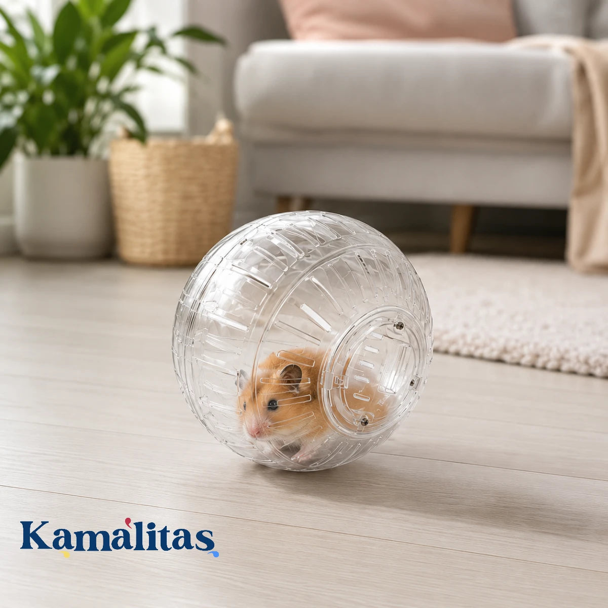 Hámster dorado usando la Esfera Ejercitadora Transparente RedKite dentro de casa, ideal para promover ejercicio supervisado y liberar energía de forma segura.