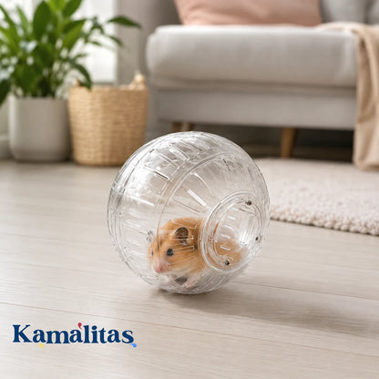 Hámster dorado usando la Esfera Ejercitadora Transparente RedKite dentro de casa, ideal para promover ejercicio supervisado y liberar energía de forma segura.