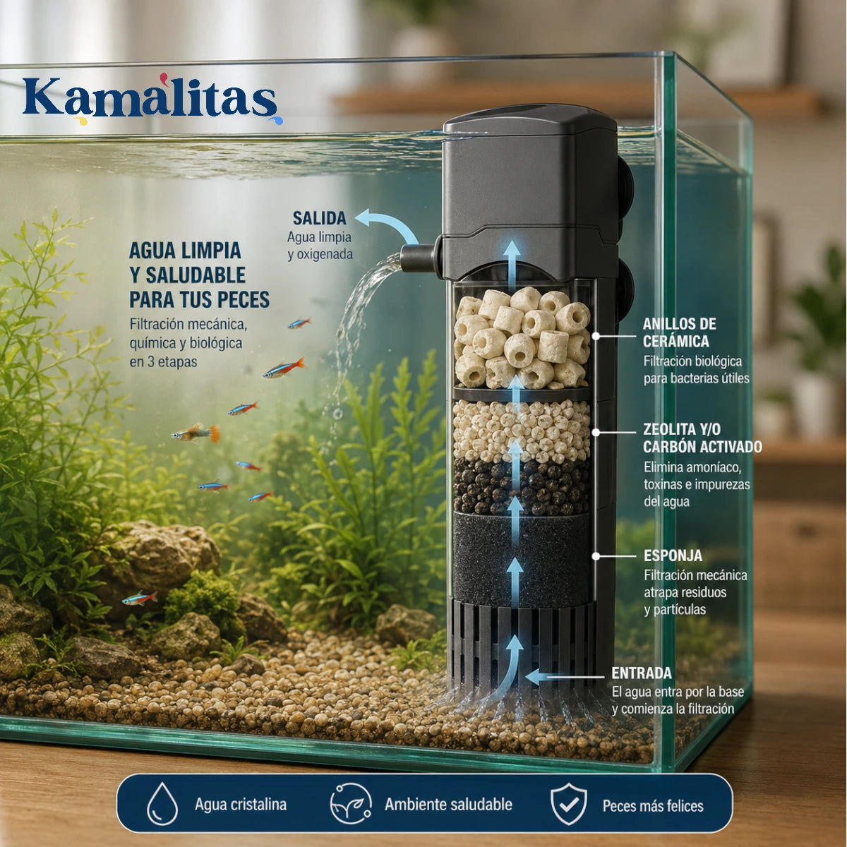 Diagrama en un acuario real que muestra un filtro interno funcionando en 3 etapas (mecánica, química con zeolita o carbón activado, y biológica) para lograr agua limpia y oxigenada con peces sanos, en Kamalitas.