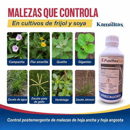 Malezas que controla Fusiflex Gold en frijol y soya, como campanita, quelite, gigantón, verdolaga y zacate Johnson