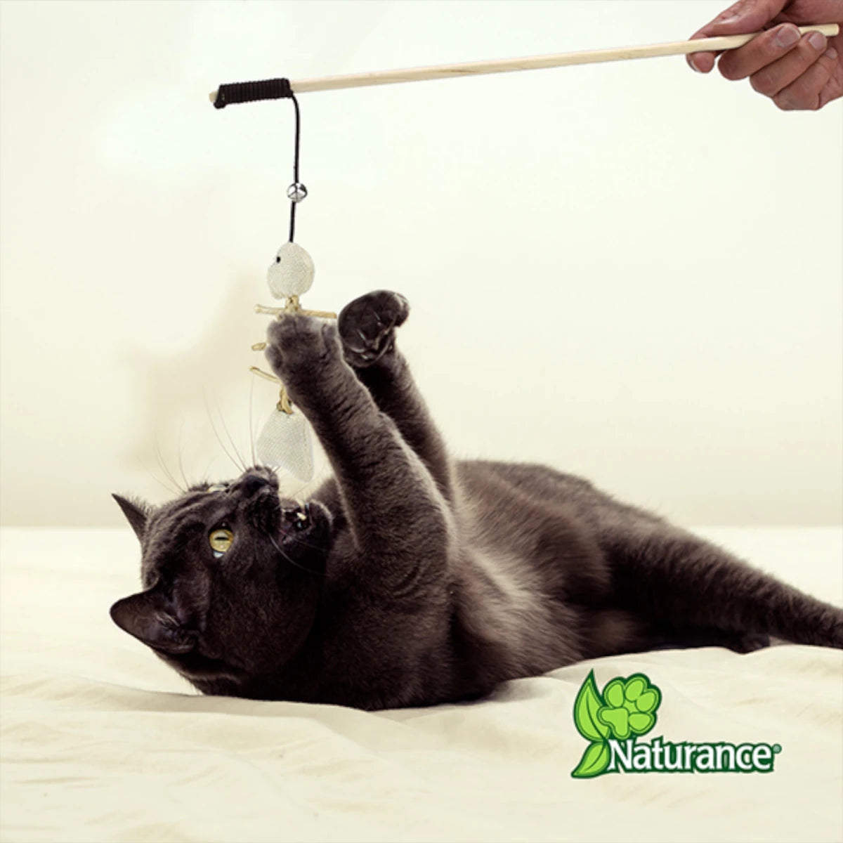 Gato interactuando con el juguete de pescado Naturance, estimulando su instinto de caza y exploración en casa.