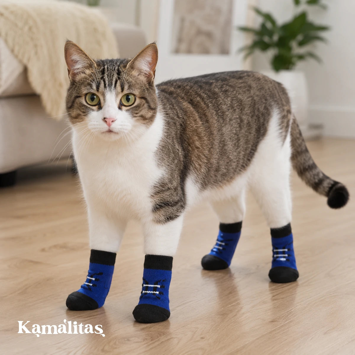 Gato usando calcetines antideslizantes azules para mascotas, con gel de silicona en la base para ayudar a evitar resbalones en pisos interiores