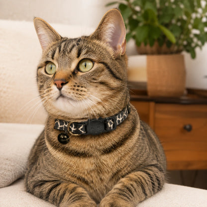 Gato usando collar animal print negro con cascabel y broche de liberación rápida, ideal para gatos con cuello de 18 a 30 cm, disponible en Kamalitas.