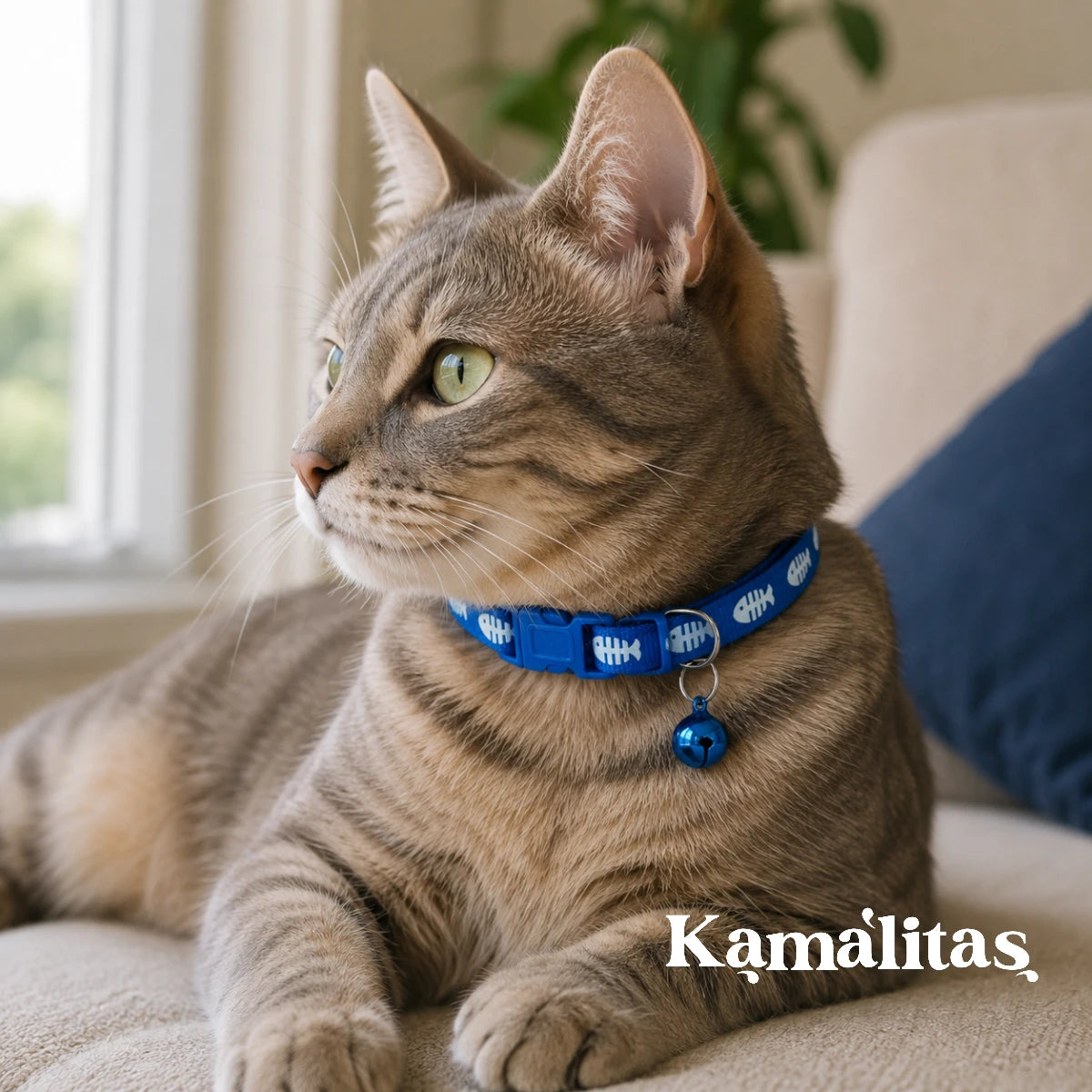 Gato usando collar azul ajustable con diseño de pescados y cascabel a juego, accesorio de nylon cómodo para gatos con cuello de 18 a 30 cm, disponible en Kamalitas