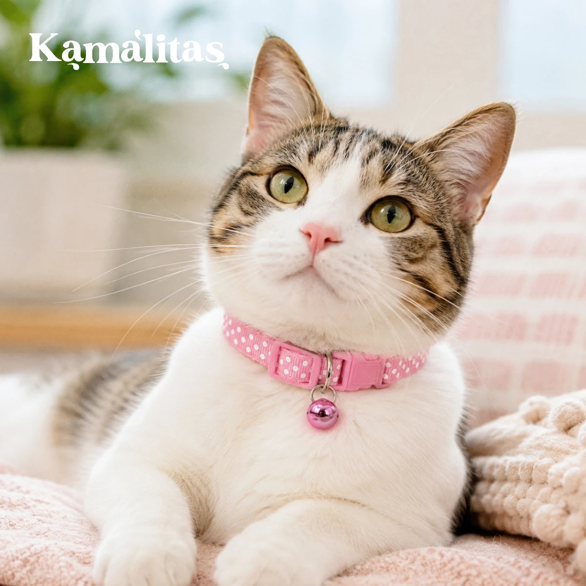 Gato usando collar rosa ajustable con puntos blancos y cascabel, ideal para gatos con cuello de 18 a 30 cm, disponible en Kamalitas.