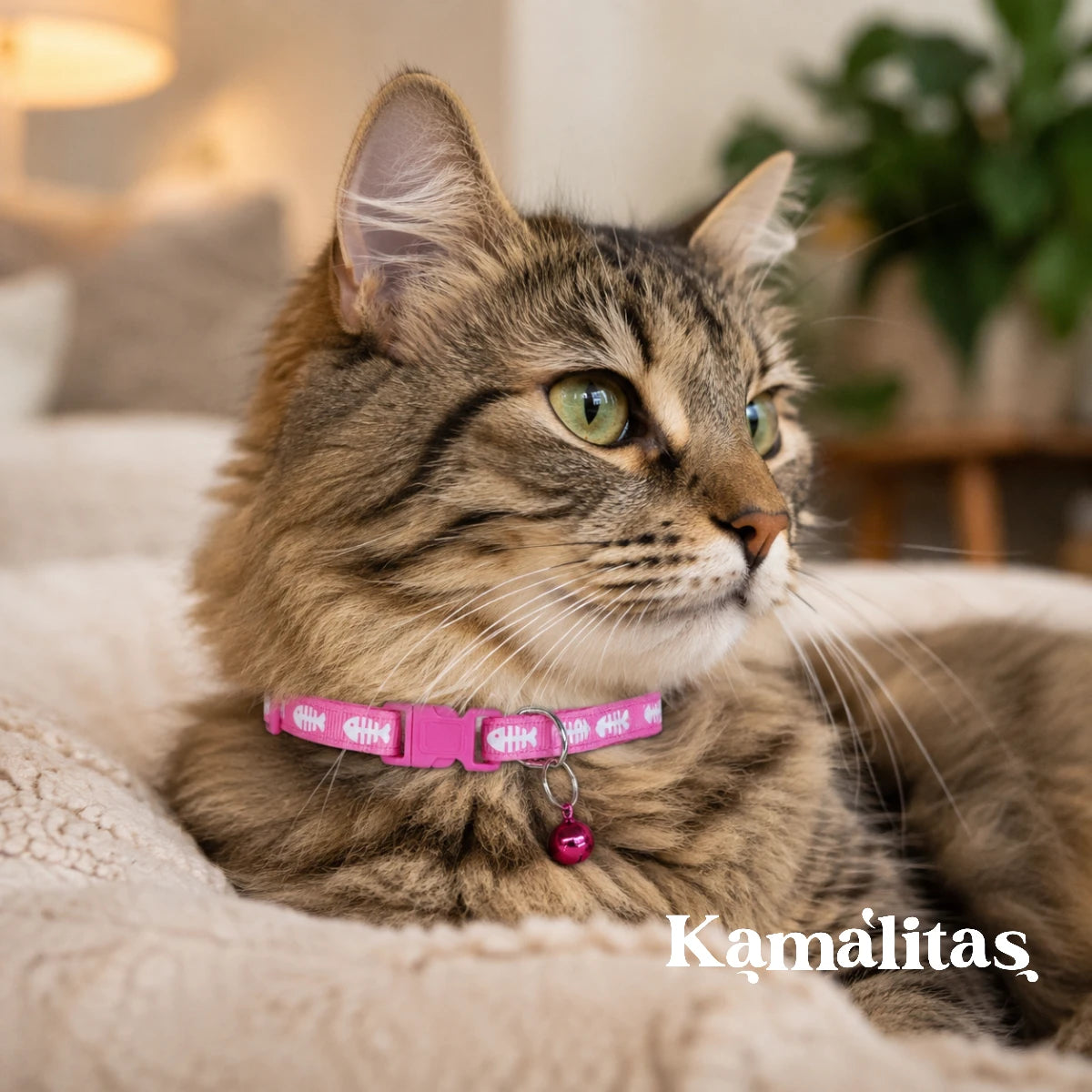 Gato usando collar rosa con diseño de esqueletos de pescado y cascabel rosa, collar ajustable de nylon para uso diario, disponible en Kamalitas