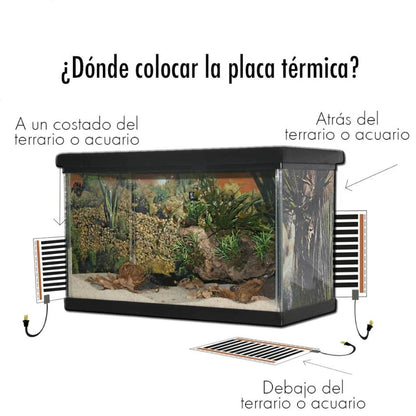 Infografía explicativa que muestra cómo colocar la placa térmica debajo, atrás o a un costado de un terrario de cristal.