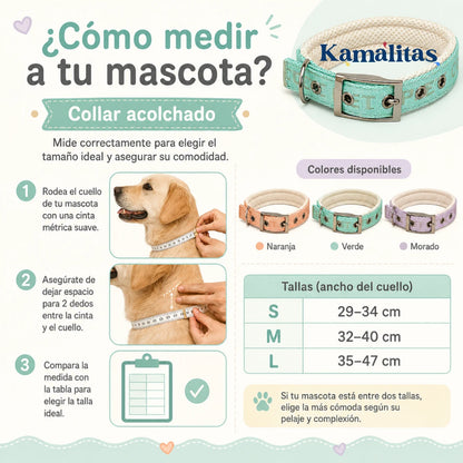Guía de tallas de collar acolchado para perros y gatos, con instrucciones para medir el cuello y elegir la talla correcta S, M o L.