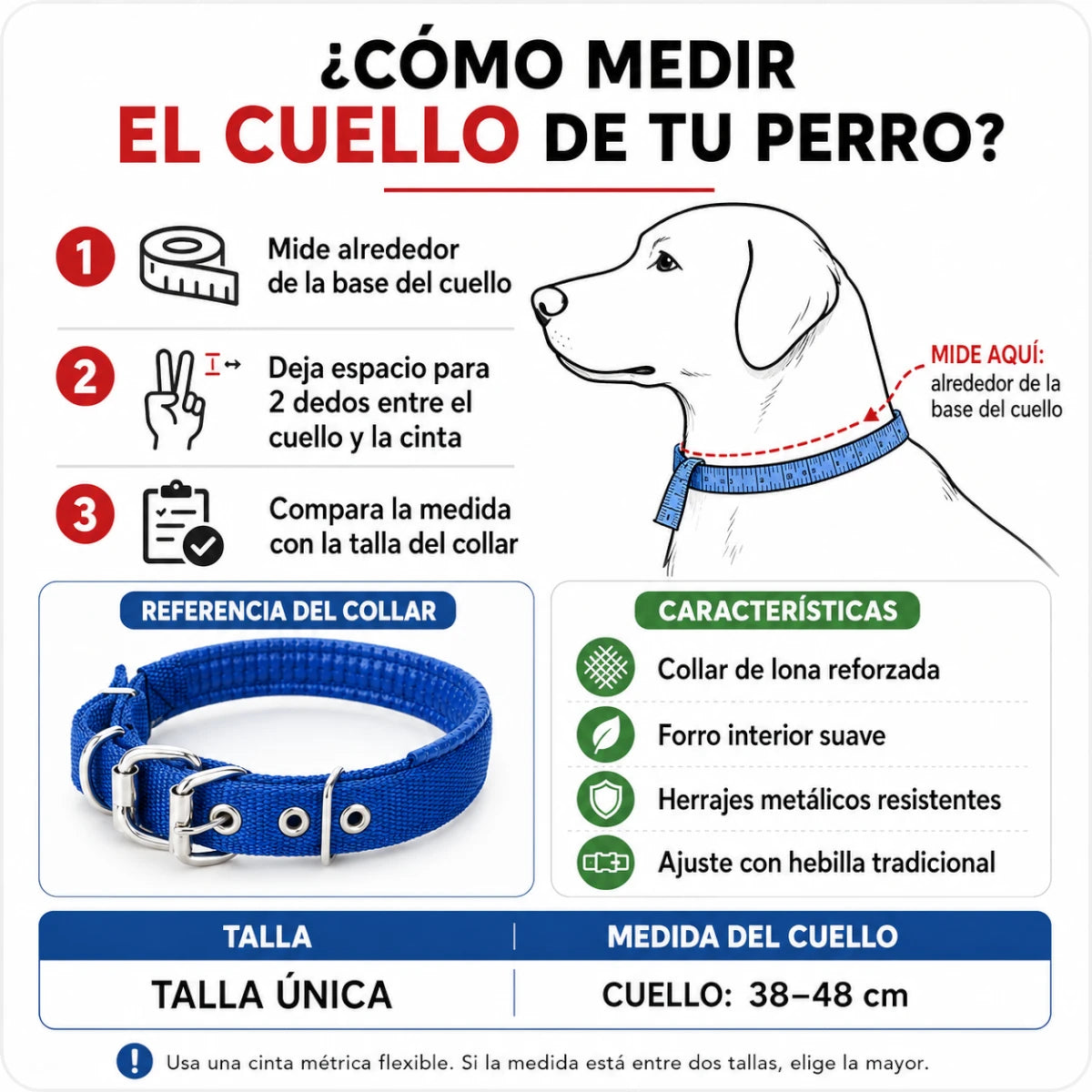 Guía para medir el cuello de tu perro y elegir la talla correcta del collar reforzado ajustable de 38 a 48 cm.