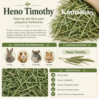 Infografía de heno Timothy que muestra los beneficios digestivos, el apoyo al desgaste dental y las especies recomendadas: conejos, cuyos, chinchillas y hámsters.