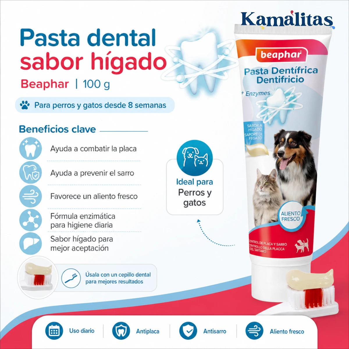Infografía de pasta dental Beaphar sabor hígado de 100g para perros y gatos desde las 8 semanas, detallando su acción antiplaca y antisarro.