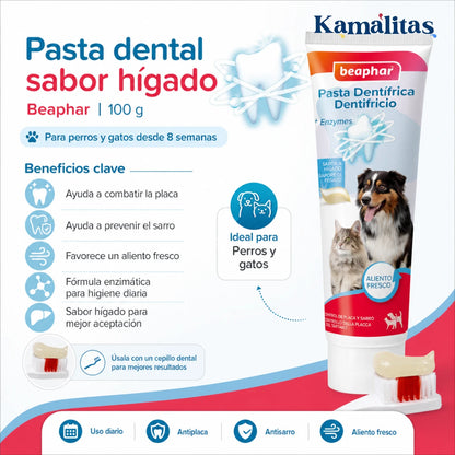 Infografía de pasta dental Beaphar sabor hígado de 100g para perros y gatos desde las 8 semanas, detallando su acción antiplaca y antisarro.